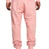 Boy Wingspan Joggers