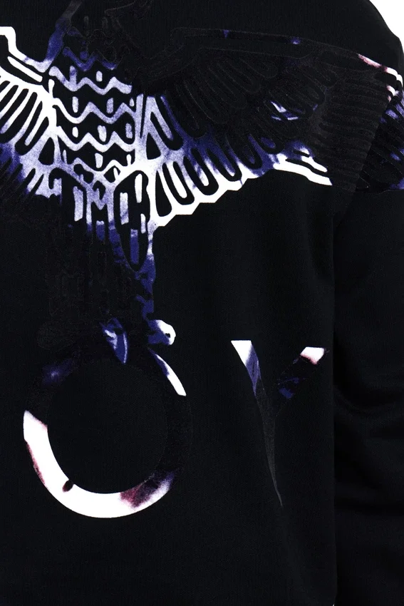 Felpa con cappuccio Boy Eagle Flock