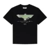 T-shirt Spray Paint Eagle