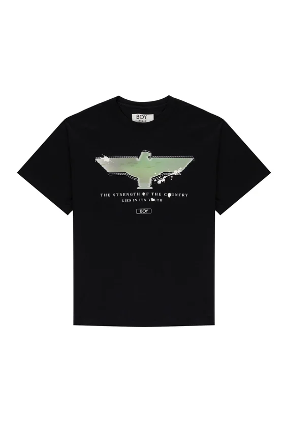 T-shirt Spray Paint Eagle